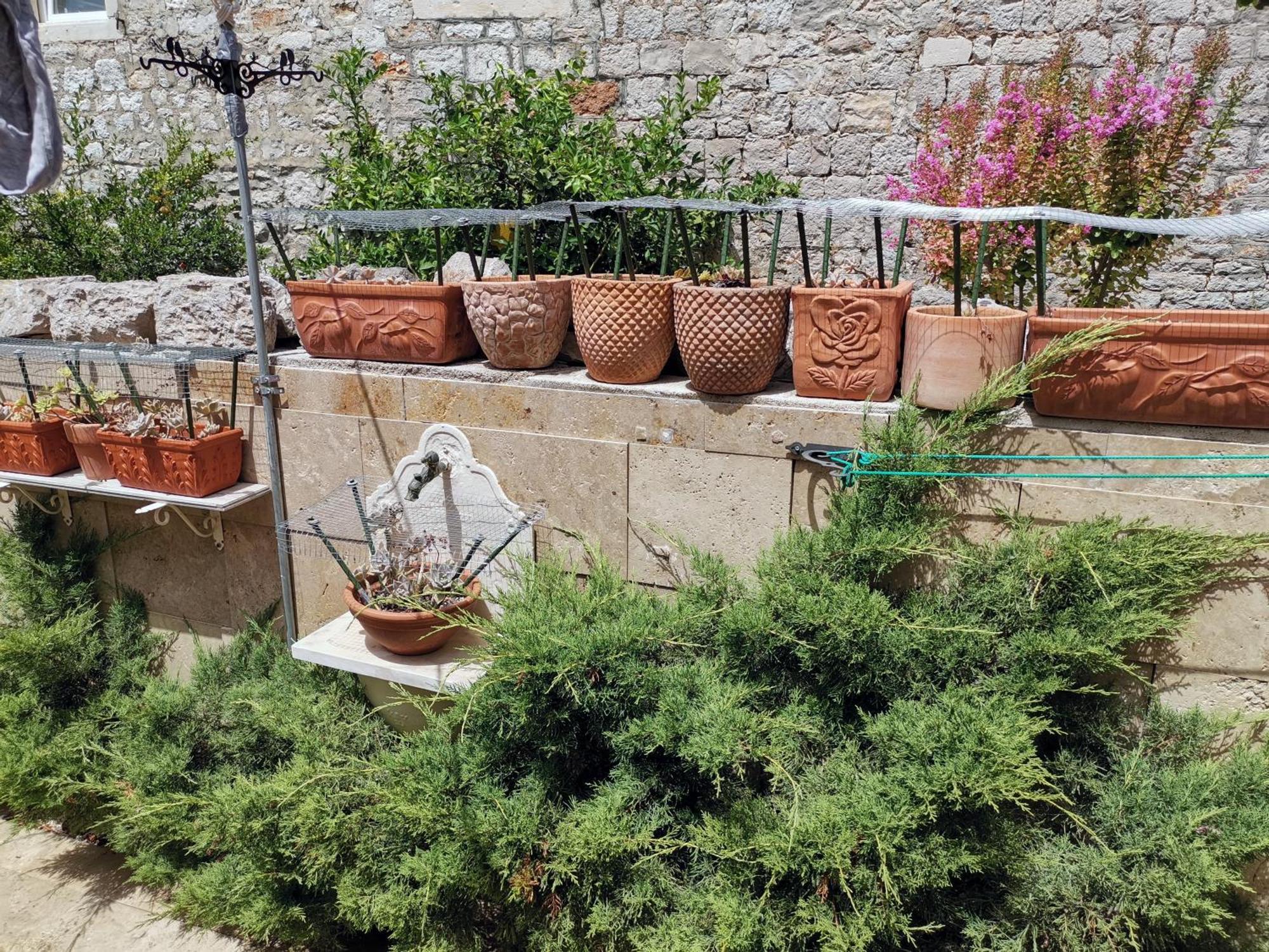 Apartment Alena With Terrace And Garden Center Jelsa Jelsa  Exterior foto